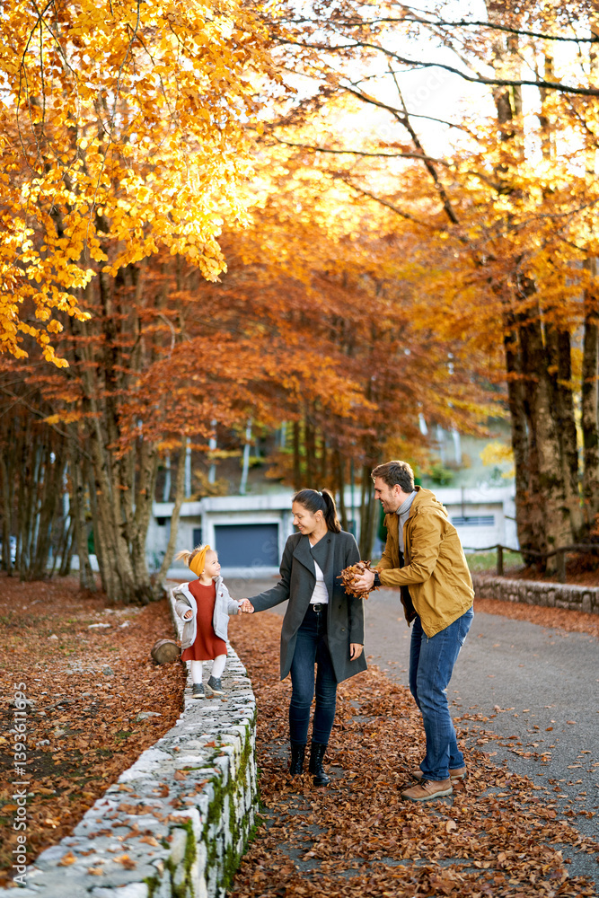 Naklejka premium Mom leads a little girl by the hand along a stone fence in the park next to dad with a handful of fallen leaves