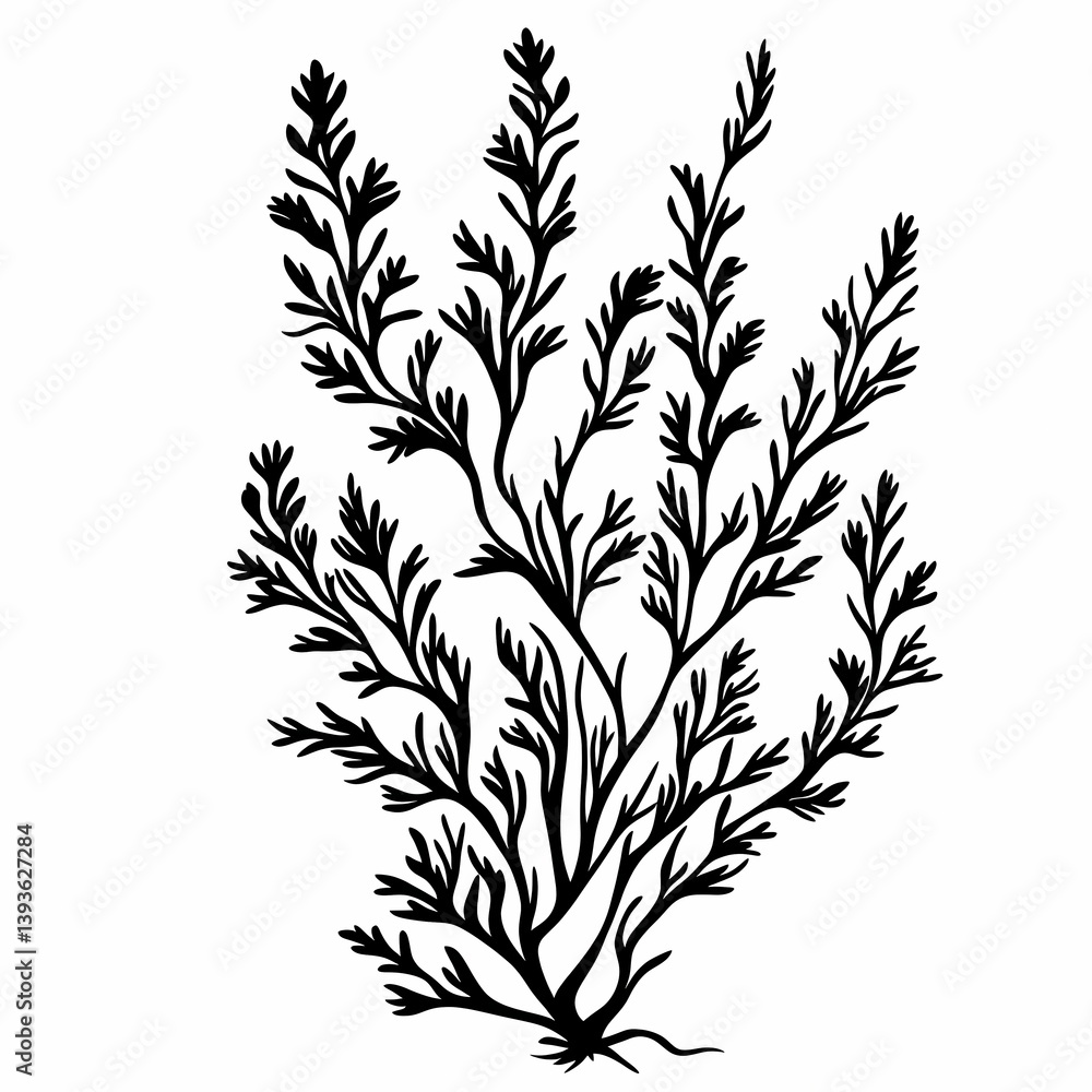 Naklejka premium Elegant Black Silhouette Seaweed Illustration: Decorative Marine Life and Botanical Art for Coastal Decor