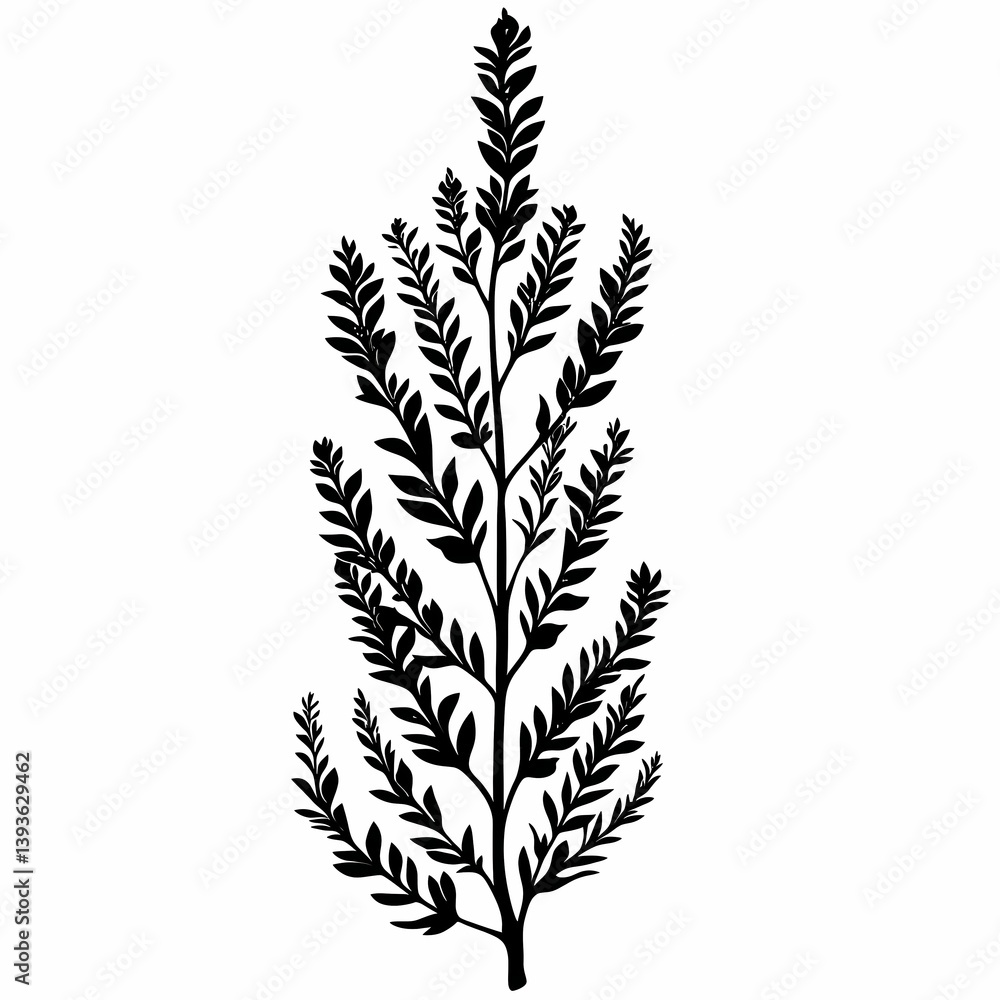 Nature's Botanical Symphony: Black-and-White Leaf Illustration Featuring Lush Ferns and Organic Greenery for Eco-Friendly Design Inspiration Nature's Botanical Symphony: Black-and-White Leaf Illustration Featuring Lush Ferns and Organic Greenery for Eco-Friendly Design Inspiration