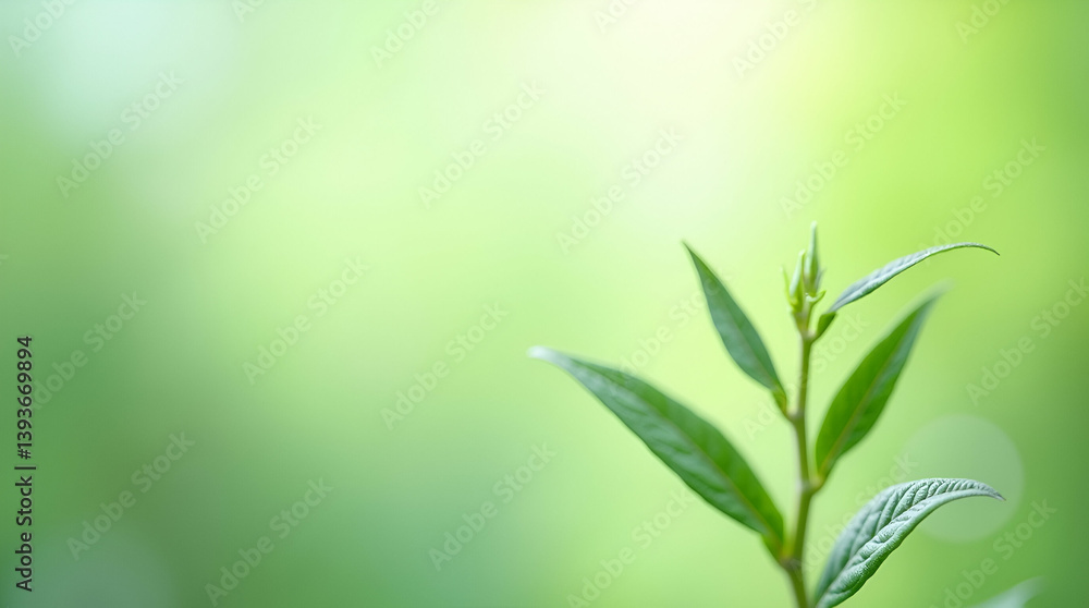 Plant Genome Editing: A Clean Green Backdrop for Modern Agriculture - Emphasizing Precision and Sustainability in Breeding Advancements with Ample Negative Space Plant Genome Editing: A Clean Green Backdrop for Modern Agriculture - Emphasizing Precision and Sustainability in Breeding Advancements with Ample Negative Space