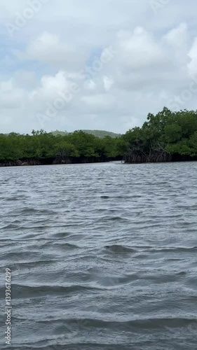 Small lush mangrove island in gray-tan calm bay waters. Puffy clouds in blue sky frame this secluded tropical coastal ecosystem.