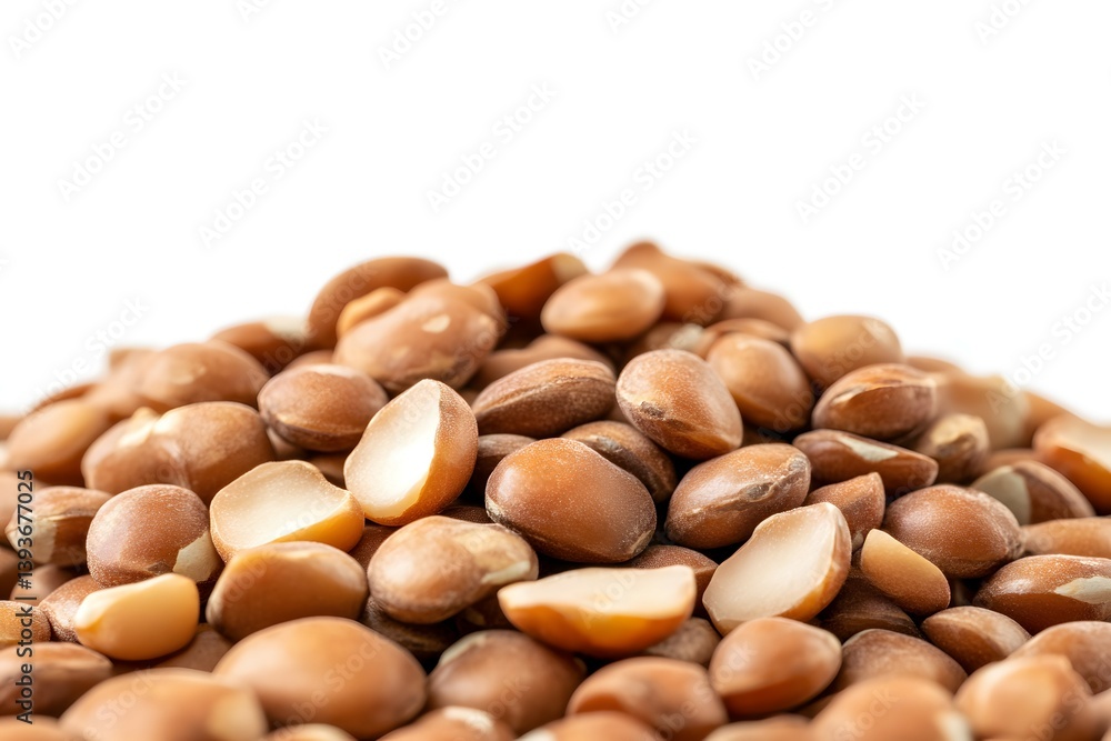 Argan Seeds CloseUp with White Background, Macro View Showing Brown Seed Texture Argan Seeds CloseUp with White Background, Macro View Showing Brown Seed Texture