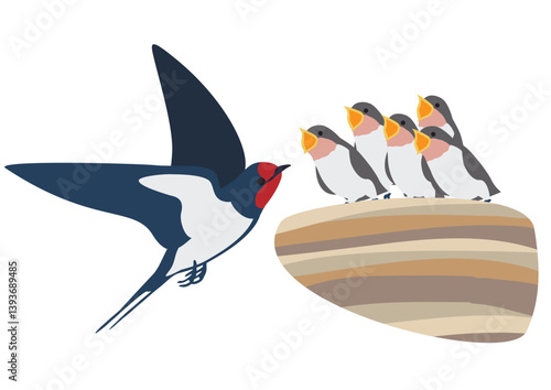 餌をねだるツバメの雛と親鳥のベクターイラストセット