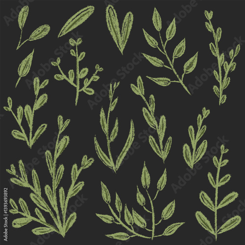 Set chalk botanic blossom floral elements. Branches, leaves, herbs, wild plants. Hand drawn garden, meadow, field foliage collection. Kids freehand vintage pencil textured vector illustration isolated