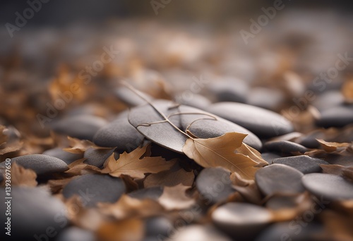 pierre et feuille zen foliage saint-pierre organic fresh water rain flora mirror image relax leaf background trickle relaxation plant tropical stem dew coolness exotically pebble bead grass droplet