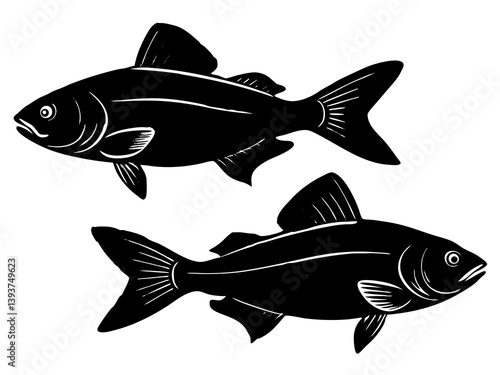 two fish on a white background