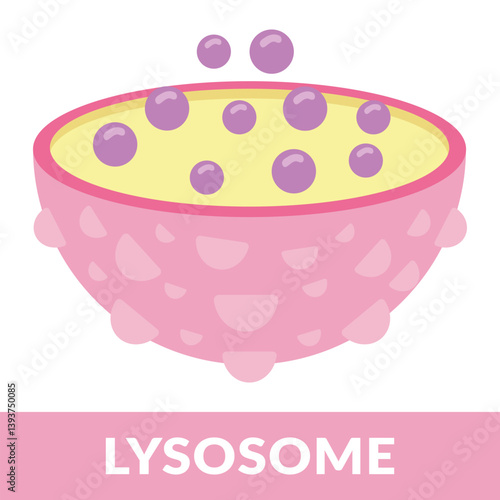 Lysosome Plant Cell Vector Illustration