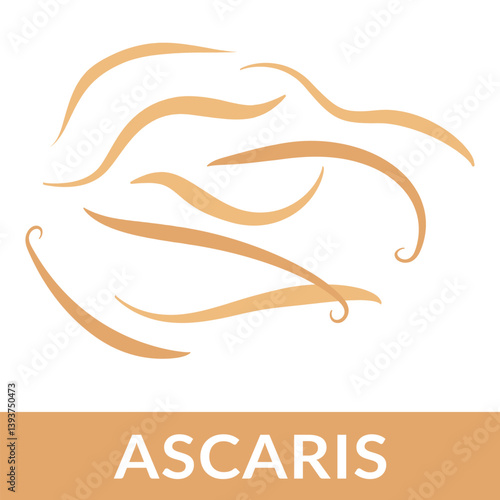 Ascaris Worm Vector Illustration