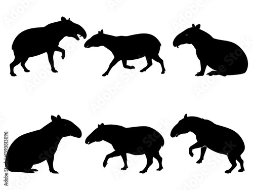 Tapir Animal Collection Black Silhouette Vector Design