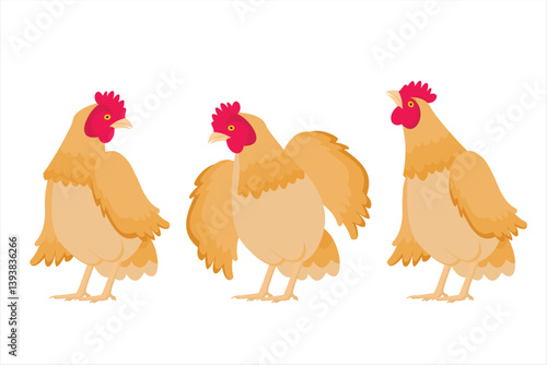 Vector illustration of chicken. Collection of vector laying hens on white background
