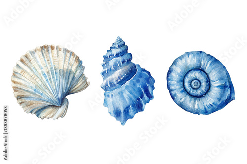 Set of blue watercolor seashells on white background