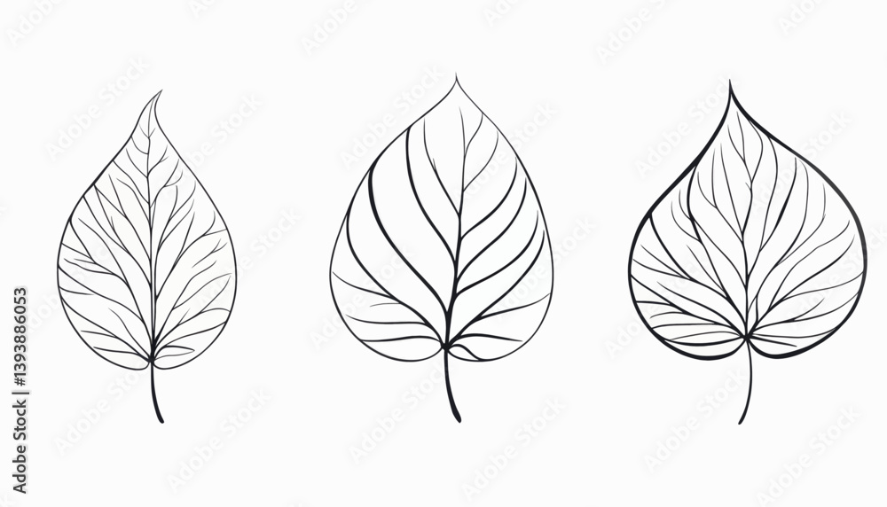 Obraz premium Elegant Line Art Leaf Designs Botanical Illustration Set for Nature Lovers and Artists