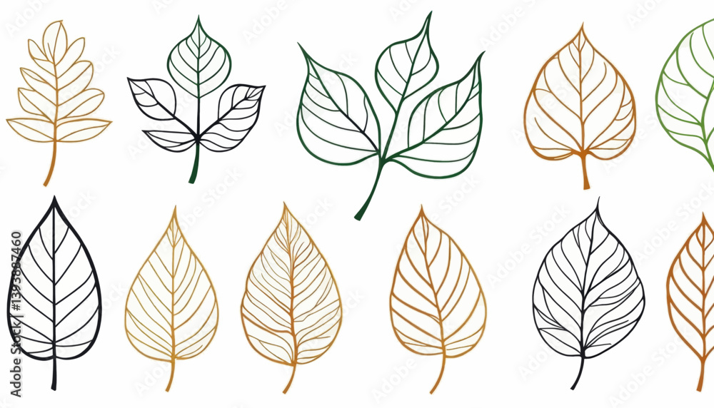 Obraz premium Elegant Line Art Leaf Designs Botanical Illustrations Nature Graphic Elements