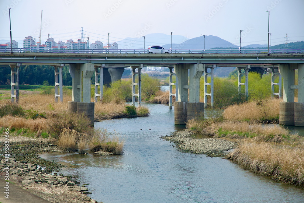 Bridge Over Taehwa River Wetlands