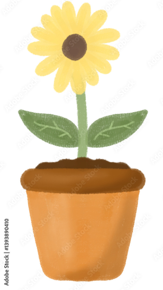 sunflower in flowerpot sunflower in flowerpot