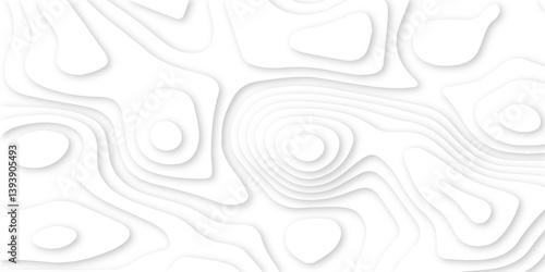 Modern White Paper cut background. Topographic map relief texture with curved layers and shadow. Wavy line drawing geometric paper art design. Multi layer cutout patterns.