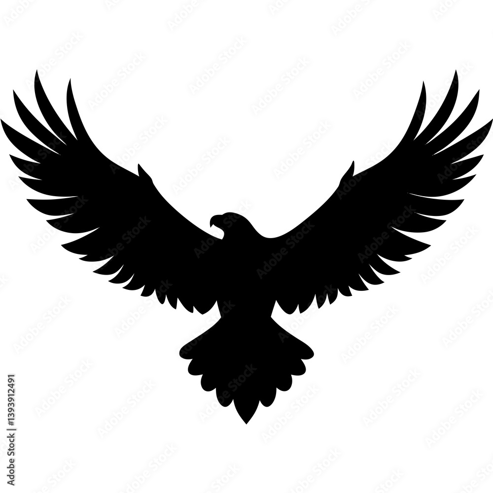 Obraz premium eagle in flight