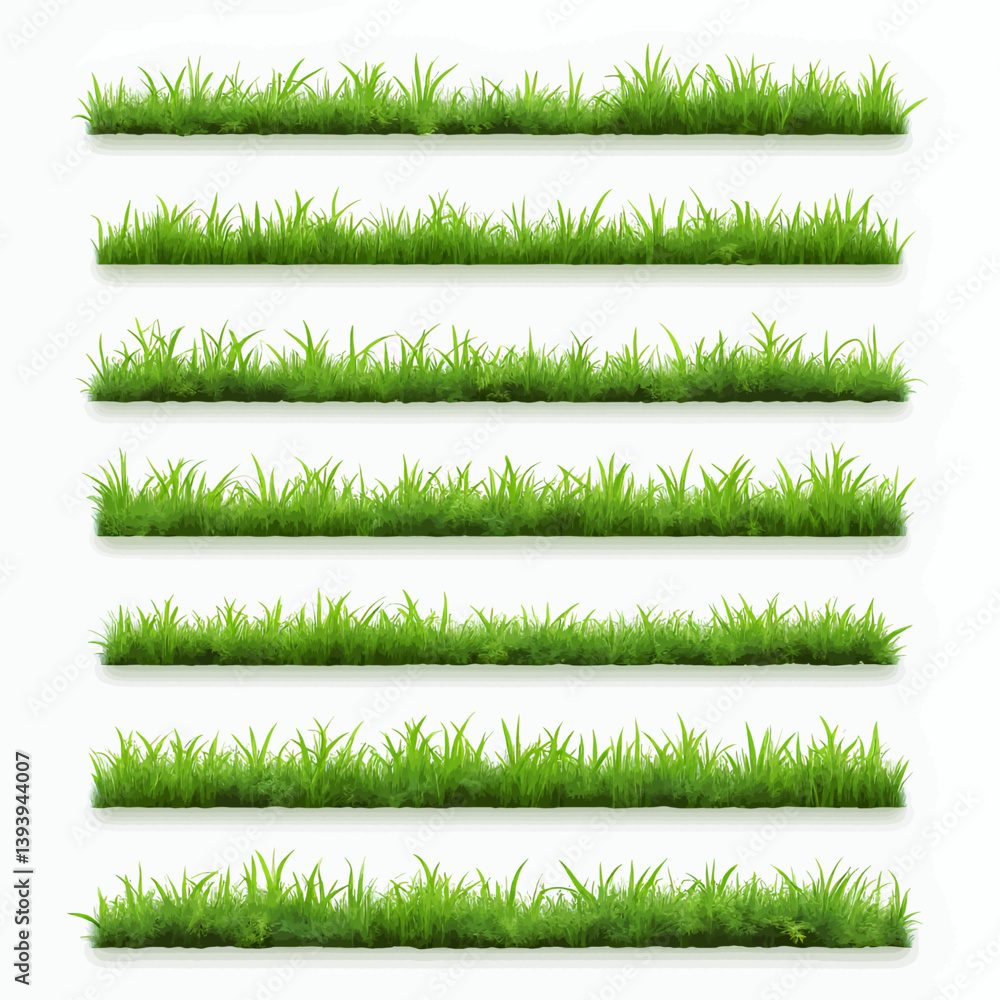 Fototapeta premium Seven green grass borders on white background
