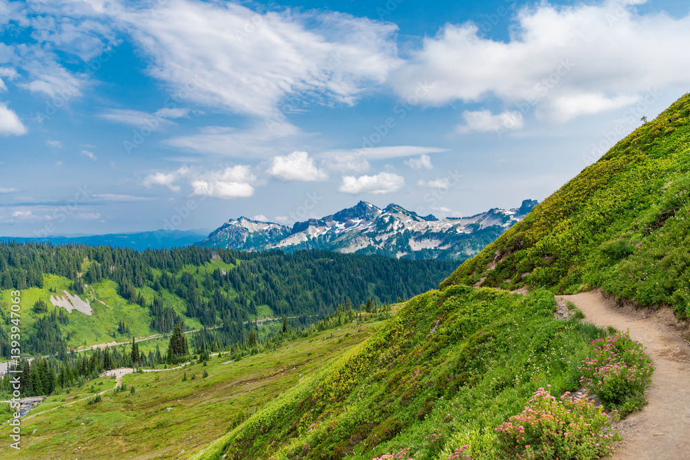 Mountain trail in the Alps. Pathway walking path in picturesque mountain landscape. Hiking trail going through forest and meadow. Mountain trail scene. Mountain landscape with hiking trail Mountain trail in the Alps. Pathway walking path in picturesque mountain landscape. Hiking trail going through forest and meadow. Mountain trail scene. Mountain landscape with hiking trail
