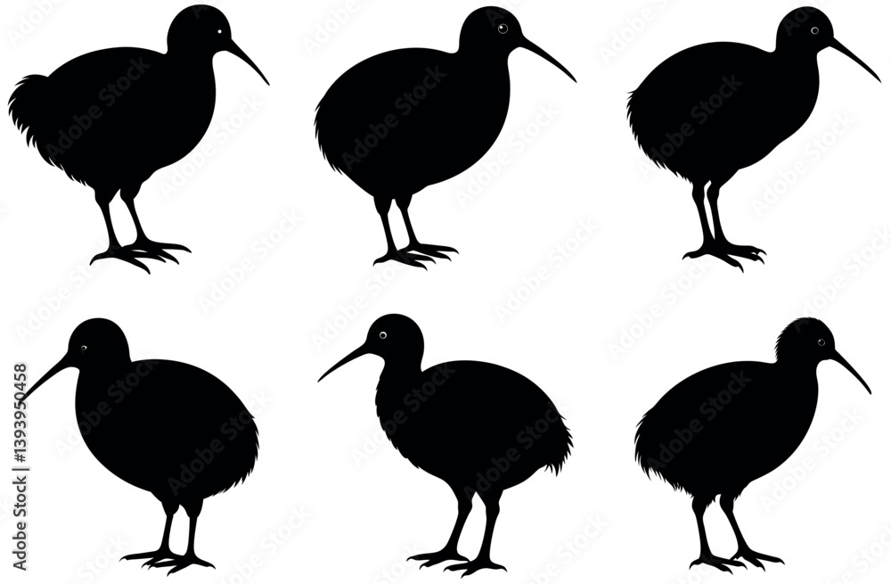 Fototapeta premium New Zealand Kiwi Bird SVG Clipart Bundle for Animal Lovers, Wildlife Silhouettes, Nature-Inspired Cricut Projects, Ornithology Printables, Flightless Bird Crafts, and Digital Bird Decorations