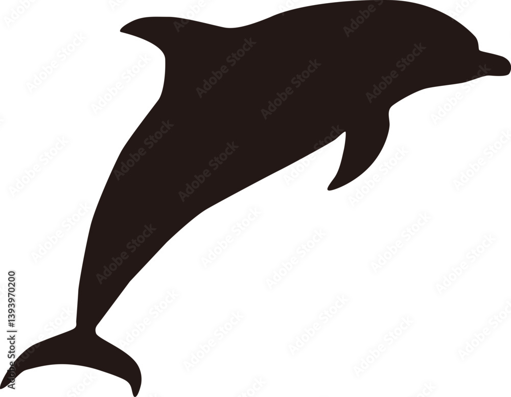 Fototapeta premium 돌고래 실루엣