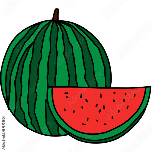 watermelon vector illustration