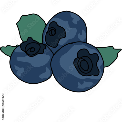 vector illustration of blueberries