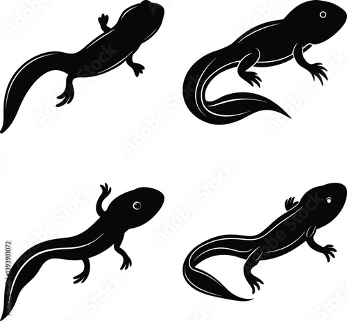 Tadpole Silhouette vector illustration