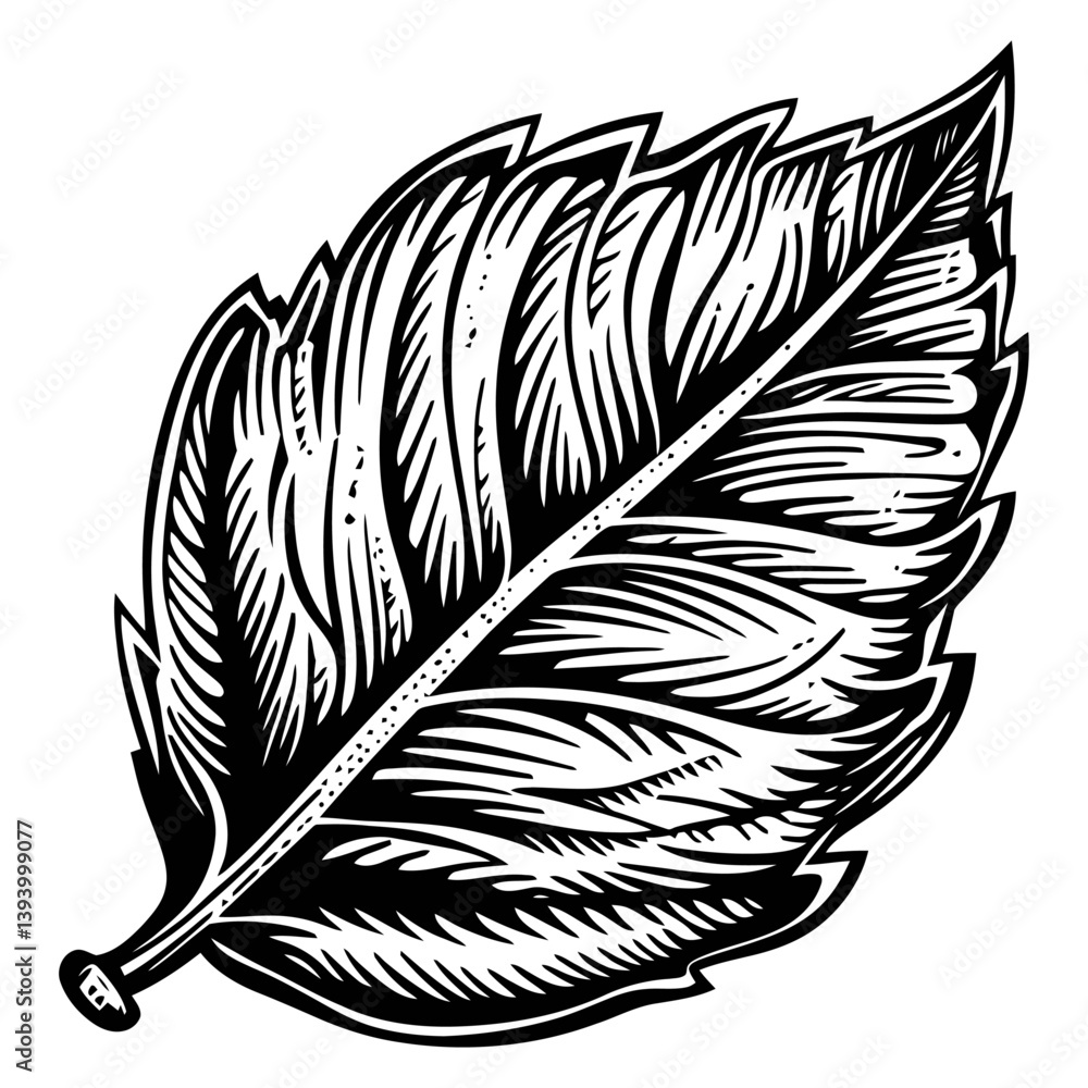 Obraz premium Detailed Black and White Illustration of a Leaf with Vivid Texture