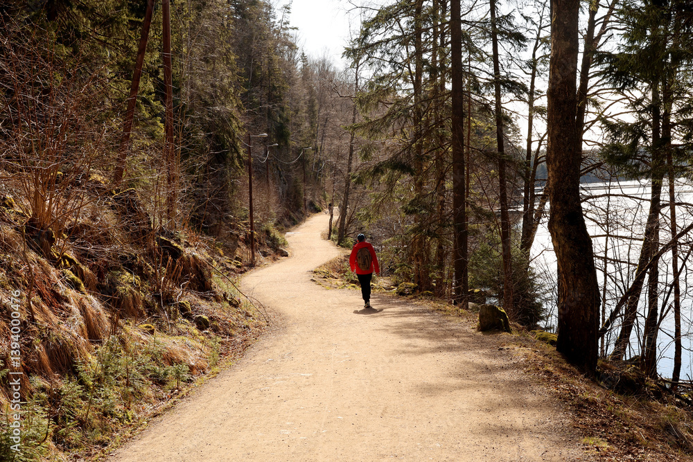 Fototapeta premium Path