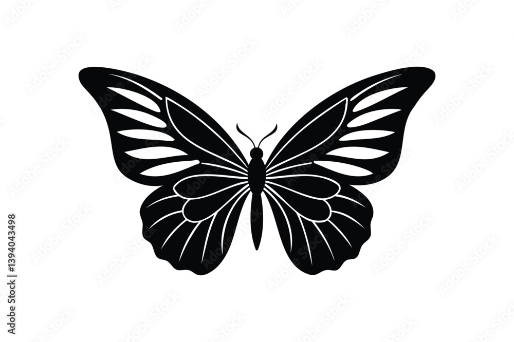 Butterfly wings silhouette on white background Butterfly wings silhouette on white background