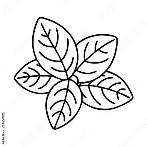 basil leaves icon, basil leaves line art - simple line art of basil leaves, perfect for basil leaves logos and icons