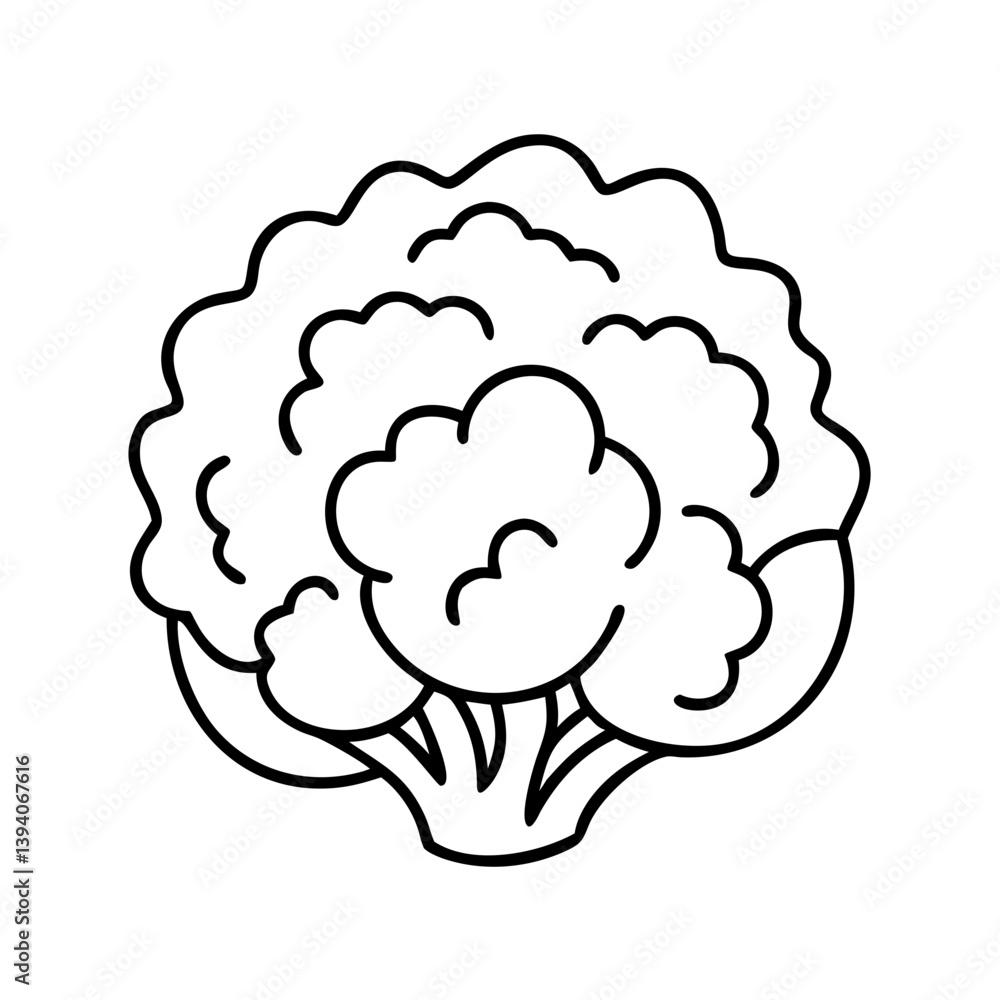 cauliflower icon, cauliflower line art - simple line art of cauliflower, perfect for cauliflower logos and icons cauliflower icon, cauliflower line art - simple line art of cauliflower, perfect for cauliflower logos and icons