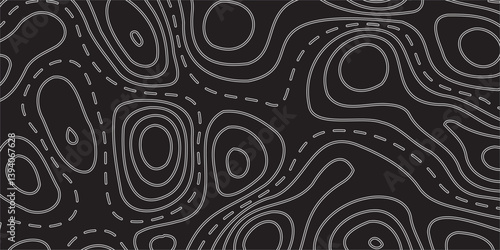 Abstract Vector Earth Relief Map with Conceptual Elevation Changes, Set Against a Black Background, Combining Artistic Geometric Lines and Fluid Topographic Layers for a Luxurious Visual