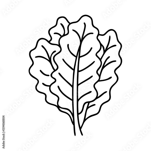 kale icon, kale line art - simple line art of kale, perfect for kale logos and icons