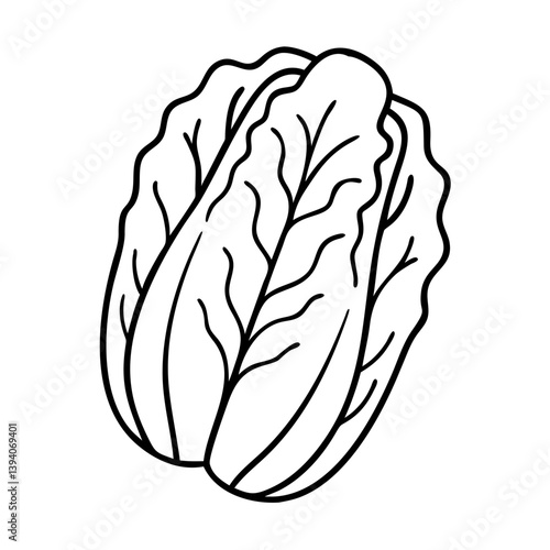 napa cabbage icon, napa cabbage line art - simple line art of napa cabbage, perfect for napa cabbage logos and icons