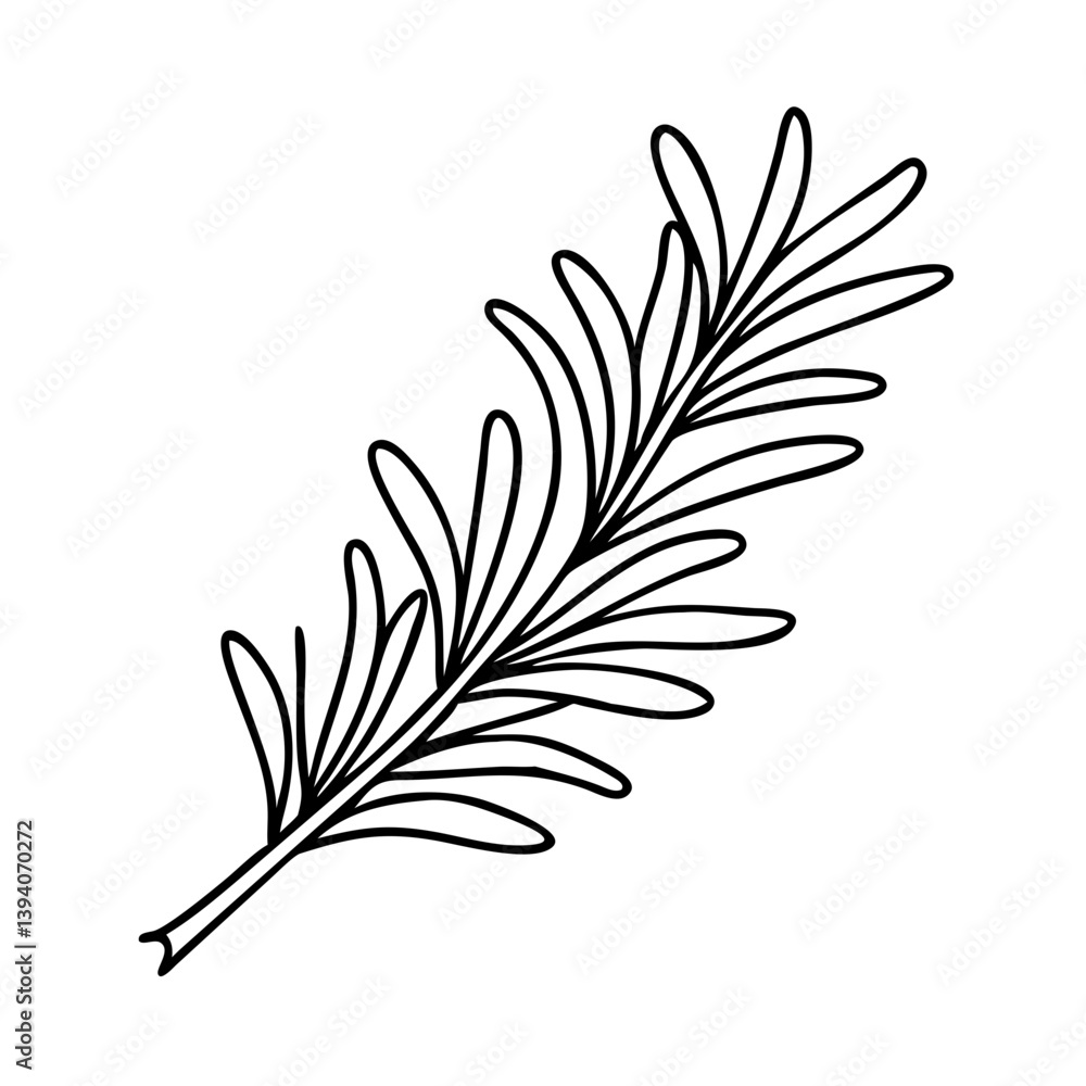 Fototapeta premium rosemary sprig icon, rosemary sprig line art - simple line art of rosemary sprig, perfect for rosemary sprig logos and icons