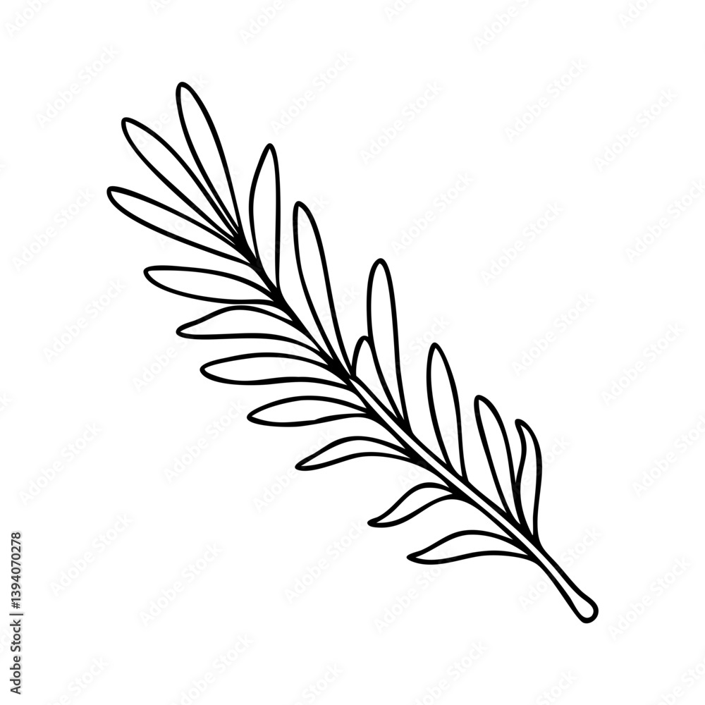 Obraz premium rosemary sprig icon, rosemary sprig line art - simple line art of rosemary sprig, perfect for rosemary sprig logos and icons