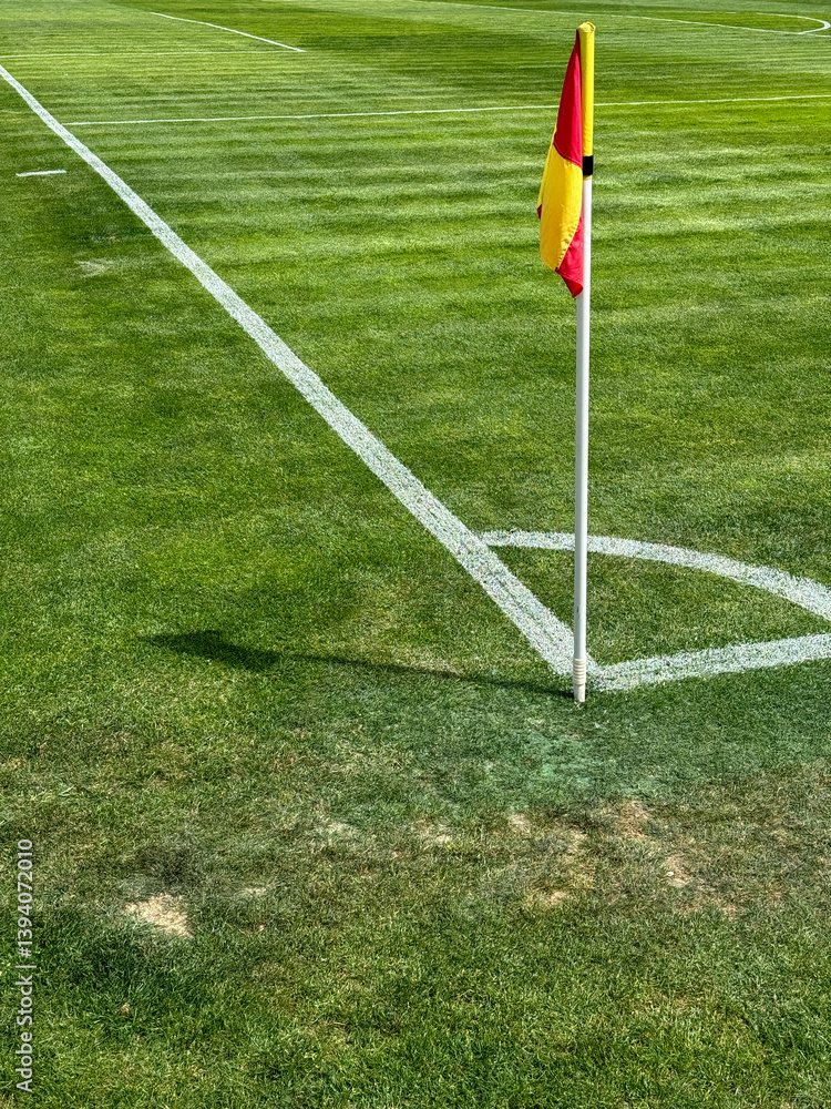 Fototapeta premium Football flags on the corner of the green field of the stadium
