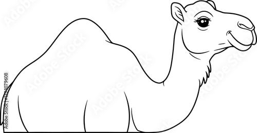 Detailed Camel Coloring Sheet Illustration Featuring Prominent Back Hump For Childrens Art And Craft Project