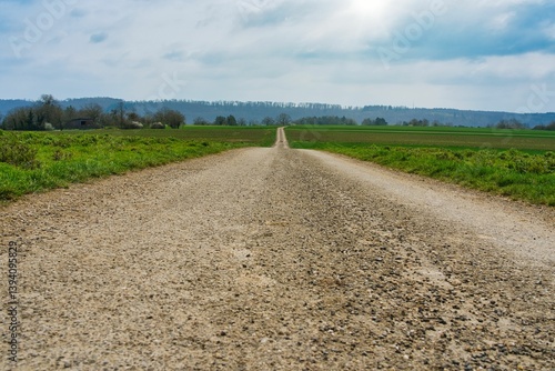 A long gravel road stretches through green fields under a partly cloudy sky. The sense of an endless journey emphasizes the tranquility of the rural landscape
