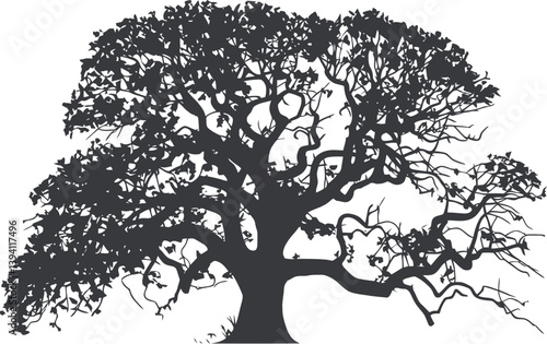 Striking Silhouette of a Majestic Tree, A dramatic, black silhouette of a large tree against a pure white background.