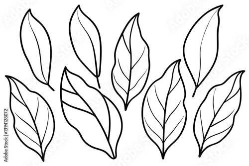Plantain Leaf Line Art Design for Botanical Illustration Project  