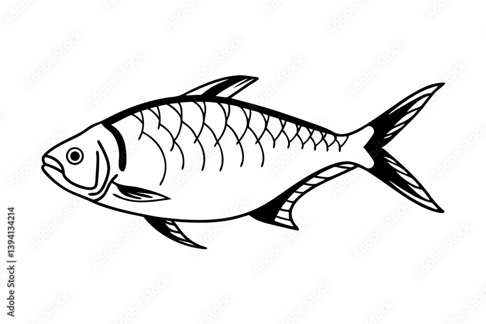 Obraz premium fish on a white background