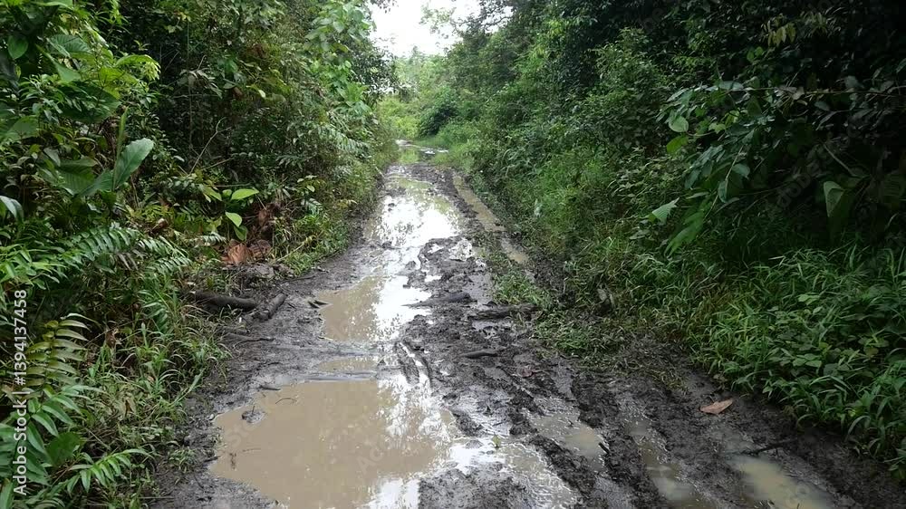 Muddy roads are challenging to navigate, especially during rainy seasons when the ground becomes slippery and treacherous. These wet and uneven paths can be found in rural areas, construction sites, o Muddy roads are challenging to navigate, especially during rainy seasons when the ground becomes slippery and treacherous. These wet and uneven paths can be found in rural areas, construction sites, o