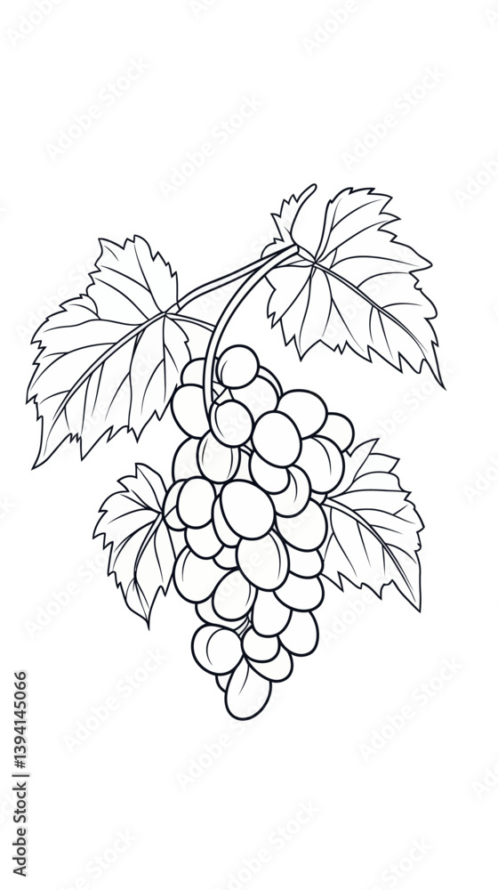 Obraz premium Minimalist Line Art Grapes with Leaves Vector for Coloring Books and Design Projects