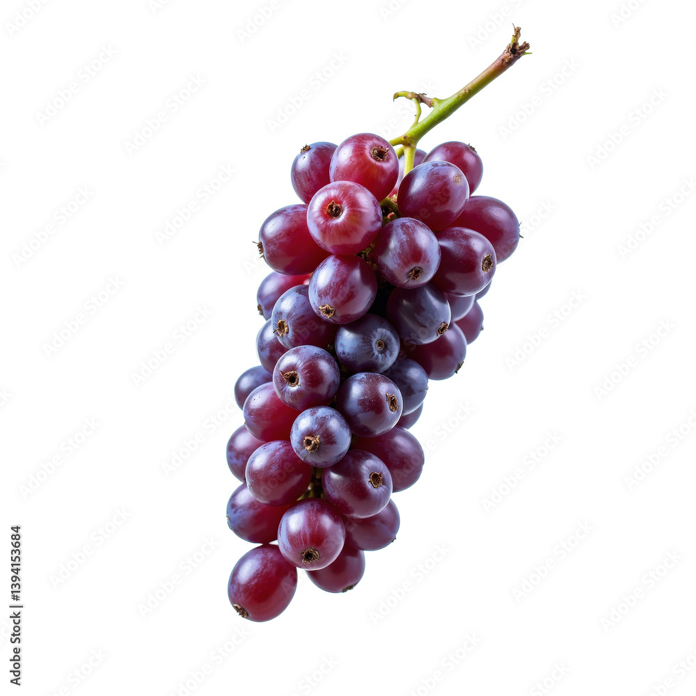 A vibrant bunch of red grapes hanging from a stem, perfect for culinary or decorative use. A vibrant bunch of red grapes hanging from a stem, perfect for culinary or decorative use.