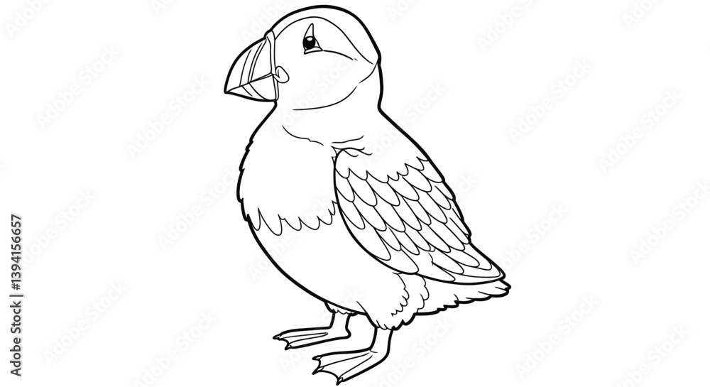 Fototapeta premium Standing Puffin Outline Illustration Featuring Cute Round Belly And Stylized Short Beak Adorable Seabird Creature