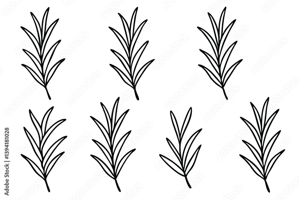 Naklejka premium Rosemary Leaf Line Art Creative Design for Detailed Illustration Artwork 