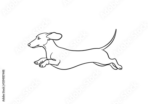 Running Dachshund Dog Line Art Illustration for Pet Lovers Design photo